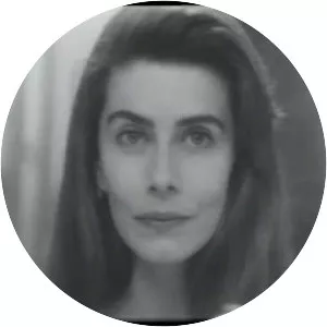 Vinicius Mainardi - Film director