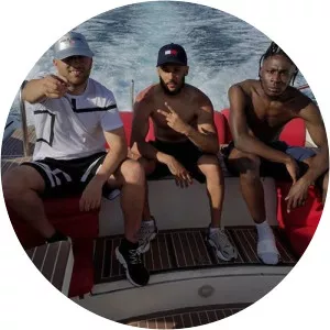 Vinsins - Musical artist