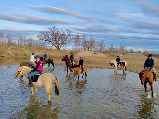 Vintrosa Ridskola - Horse riding school in Sodra Valla, Sweden