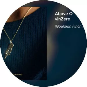 Vinzere - Musical artist