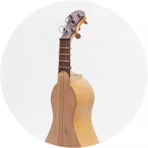 Viola de cocho - Musical instrument