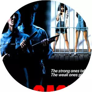 Violence in a Women's Prison