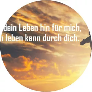 violin heart viktor janzen photograph