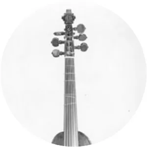 Violone