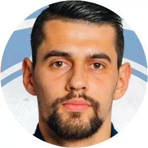 Viorel Ştefan Lică (Viorel Lică)