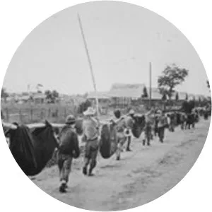 Virgilio N. Cordero Jr.