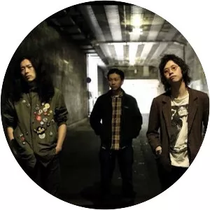 Virgin Crab Band - Musical artist