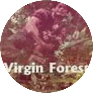 Virgin Forest