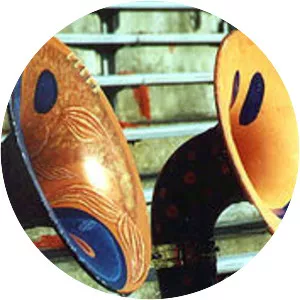 Virginia Pep Band - Musical ensemble