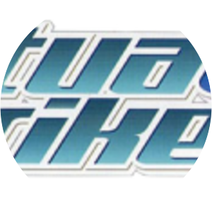 Virtua Striker 4 - Video game