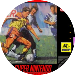 Virtual Soccer