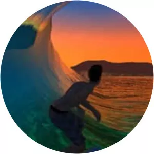 Virtual Surfing - Video game