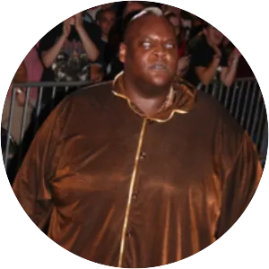 Viscera
