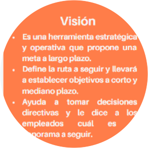 Vision with Values