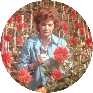 Visit or Memories and Confessions