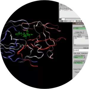 Visual Molecular Dynamics
