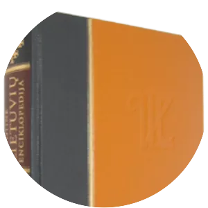 Visuotinė lietuvių enciklopedija - Book