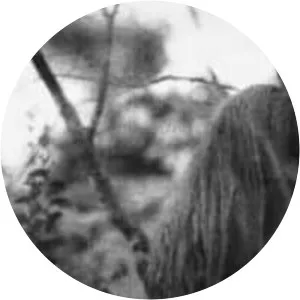 Vitalij Kuprij - Ukrainian pianist