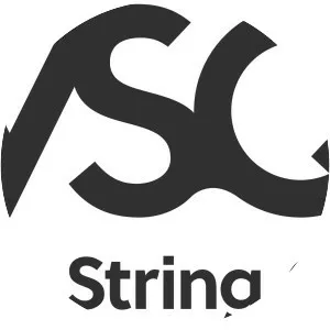 Vitamin String Quartet