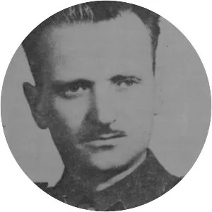 Vitomir Širola Pajo