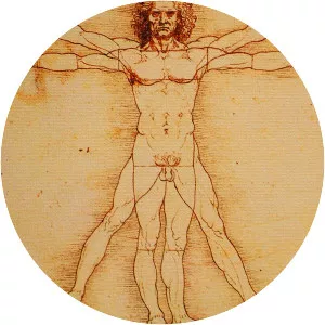 Vitruvian Man - Drawing by Leonardo da Vinci