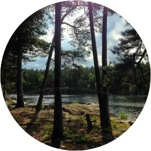 Vittjärn - Lake in Sweden