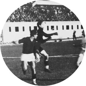 Vittorio Schifilliti