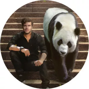 Viva La Panda - Musical artist