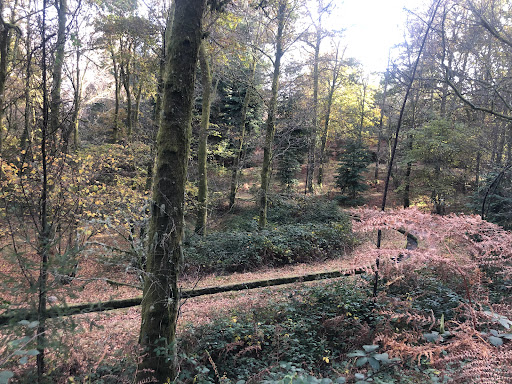 Viveiro Perdizes Moinhos do Rei - Bird control service in Portugal