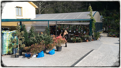 Viveros Brandariz - Plant nursery in Spain