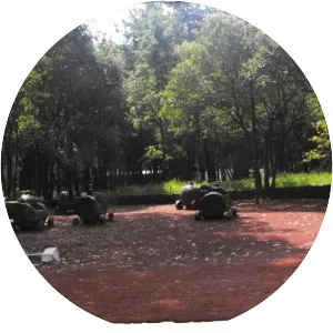 Viveros de Coyoacán - Park