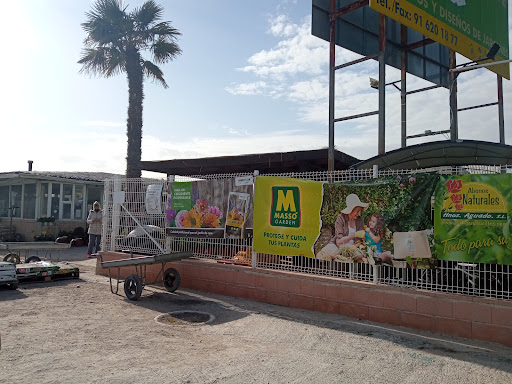 Viveros La Rosa del Norte - Plant nursery in Spain