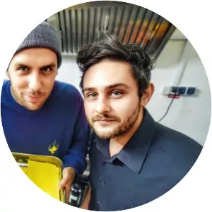 Vlad Dobrescu - Musical artist