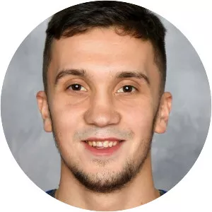 Vladimir Bryukvin - Russian ice hockey player