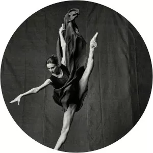 Vladimir Fridkes - Visual artist