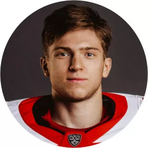 Vladimir Galkin - Ice hockey goaltender