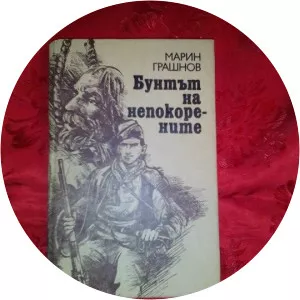 vladimir grashnov marin grashnov