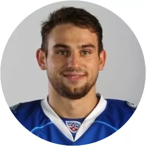 Vladimir Grebenshchikov