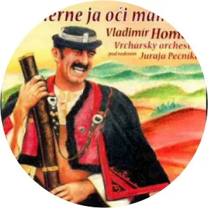 Vladimir Homola - Musical artist