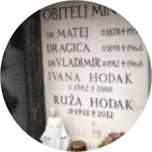 Vladimir Mintas photograph