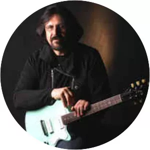 Vladimir Negovanović - Musical artist