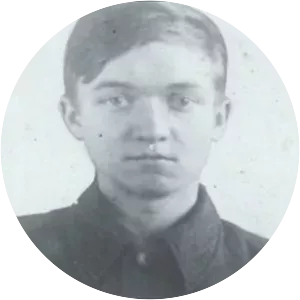 Vladimir Vinnichevsky - 