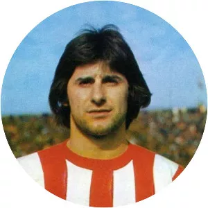 Vladislav Bogićević - Serbian football player
