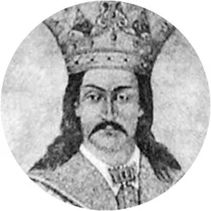 Vladislav I of Wallachia - Ruler