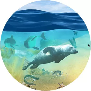 Vlakte van de Raan - 