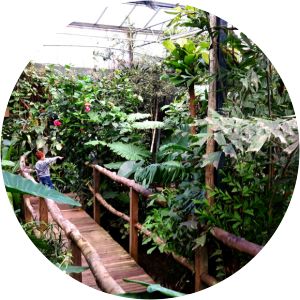 Vlinders aan de Vliet