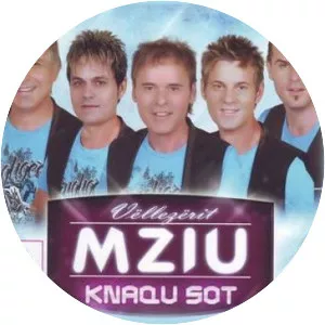 Vllezërit Mziu