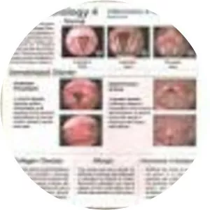 Vocal Pathology IV - Book by C. Richard Stasney and Robert O'Brien