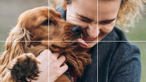 VOFFii - Bedre hverdag for alle med hund - Dog walker in Jessheim, Norway