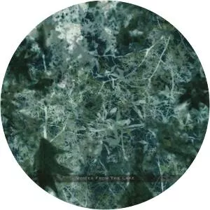 Voices From the Lake